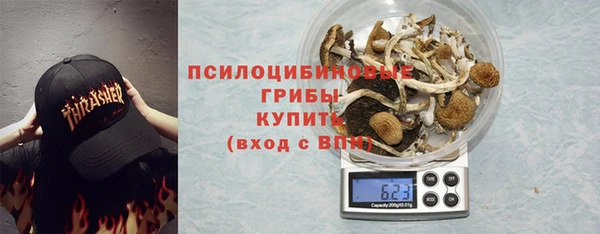 прущий лед Алексин