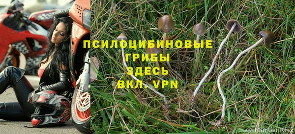 mdpv Алексеевка